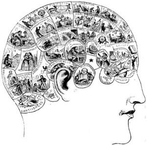 Illustration of human head with brain divided into a number of different scenes for each "character attribute"