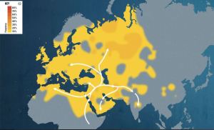 Heat Map for Maternal Line Haplogroup T1