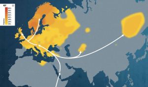Heat Map for Paternal Line Haplogroup M253
