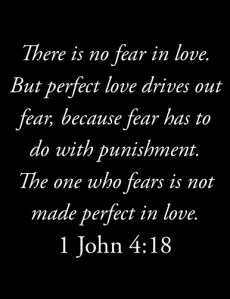 for there is no fear in love. but perfect love drives out fear, because fear has to do with punishment. the one who fears is not made perfect in love. (1 john 4:18)