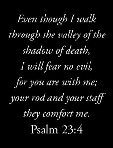 even though i walk through the valley of the shadow of death, i will fear no evil, for you are with me; your rod and your staff, they comfort me (psalm 23:4)