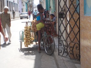 Young girl with a bicycle cart full of onions for sale.
